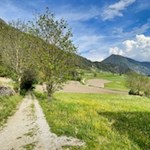 Il sentiero delle api si snoda dolcemente attraverso prati e campi fino a Valgenauna