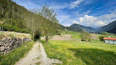 Sanft zieht sich der Bienenweg durch Wiesen und Felder nach Valgenäun