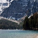 In den Wassern des Pragser Wildsees tummeln sich Forellen und Saiblinge