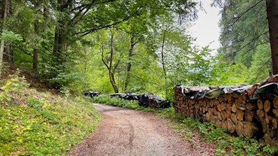 Wandern auf dem Römerweg von Kiens nach Ehrenburg