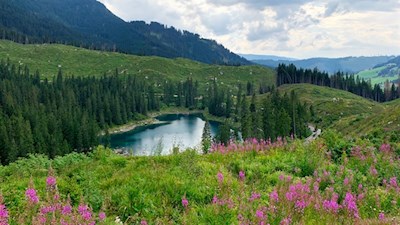 Der Weg Nr. 10 öffnet schöne Ausblicke auf den Karersee