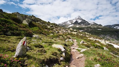 Blick auf den 3.247 m hohen Rauchkofel