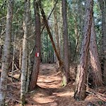 Der Anstieg zur Tarscher Alm ist gut markiert