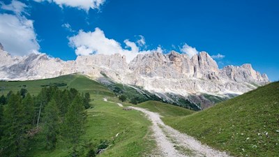 Auf dem Weg Nr. 15 nähern wir uns den Felswänden des Rosengarten