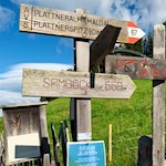 Der Aufstieg zur Plattner Alm ist gut ausgeschildert