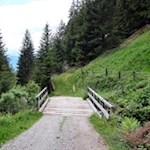 „Willst du dich am Ganzen erquicken, so musst du das Ganze im Kleinsten erblicken.“ (J. W. von Goethe)