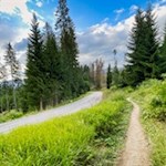 Der Weg zur Frommeralm verläuft kurz parallel zur Straße