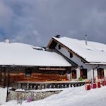 Die-gemütliche-Sattelbergalm