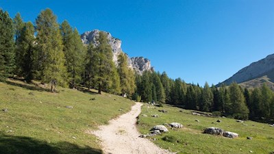 Along the picturesque hiking trail no. 120 in the direction of Città di Carpi moutain hut
