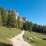 Sul suggestivo sentiero escursionistico n. 120 in direzione del rifugio Città di Carpi