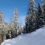 Durch den knirschenden Schnee zur Lercheralm
