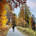 Herbstwanderung um Deutschnofen