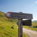 Vom Weg Nr. 3 zweigt der Pfad auf den Ifinger ab