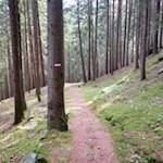 Vom Spilucker Köpfl führt ein gut markierter Waldsteig nach Schalders