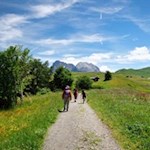Der Rückweg von der Spitzbühlhütte erfolgt auf dem Hinweg