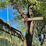 Die Wanderung von Villanders nach Sauders ist gut ausgeschildert