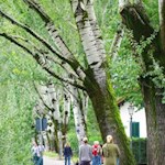 Passerpromenade in Meran
