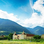 Einst war der Hofburggarten ein farbenfrohes Blumenmeer