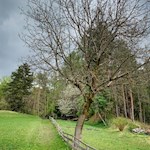 Die Wanderung zum Fonteklaus führt durch Wiesen und Wälder
