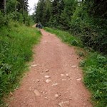 Dank des sanften Wegverlaufes kann die Zuegghütte auch mit Kindern erwandert werden