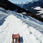 Rodeln im Ahrntal