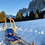 Von der Geisleralm kann man mit der Rodel zu Tale fahren