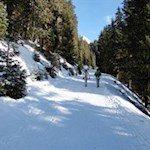 Auf dem Rodelweg zurück ins Tal