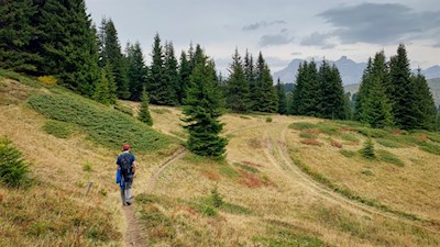 Durch die malerische Almlandschaft zur Incisa Lodge