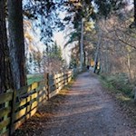 Die Sigmund-Freud-Promenade ist Fußgängern vorbehalten