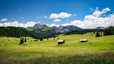 Die malerischen Seiser Almwiesen stehen in bezauberndem Kontrast zu den majestätischen Dolomiten
