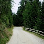 Der breite Wanderweg kann auch mit dem Kinderwagen befahren werden