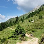 Sanft schlängelt sich der Ridnauner Höhenweg durch die bezaubernde Landschaft