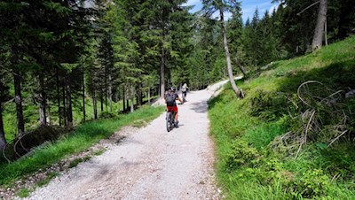 Auch bei Mountainbikern erfreut sich diese Strecke großer Beliebtheit
