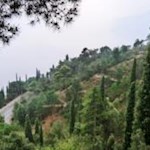 La tipica vegetazione mediterranea sul Sentiero del Sole