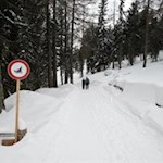 Auf dem Rückweg von der Welschellener Alm