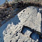 Rätselhafte Schalensteine säumen den Wanderweg