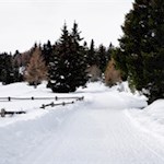 Winterwandern auf der Villanderer Alm