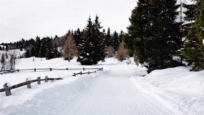 Winterwandern auf der Villanderer Alm