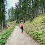 Durch den Wald zum Häusler Sam