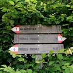 Die Wanderung zum Schloss Prösels ist gut ausgeschildert