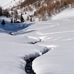 Der mäandrierende Altfassbach begleitet uns über große Teile des Weges