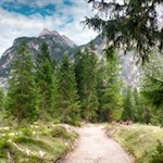 Familienwanderung zur Grünwaldalm