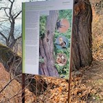 Der Birmehlweg wird von anregenden Infotafeln gesäumt