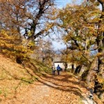 Insbesondere-im-Herbst-erfreut-sich-der-Keschtnweg-großer-Beliebtheit