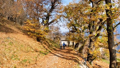 Insbesondere im Herbst erfreut sich der Keschtnweg großer Beliebtheit