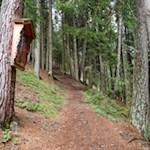Durch den friedvollen Wald zur Brunstalm