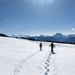 So mancher kann dem verlockenden Pulverschnee am Wegesrand nicht widerstehen...