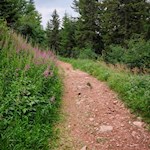 Leichte Wanderung zur Zuegghütte