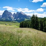 Die weiten Almwiesen der Seiser Alm vor der Kulisse der Dolomiten