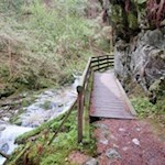 Am erfrischenden Terner Bach